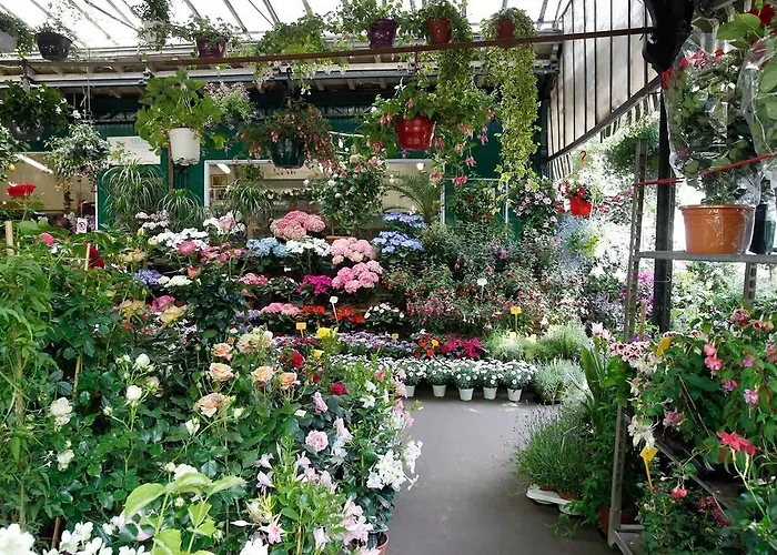 호텔 Des Deux-iles - Notre-dame 파리